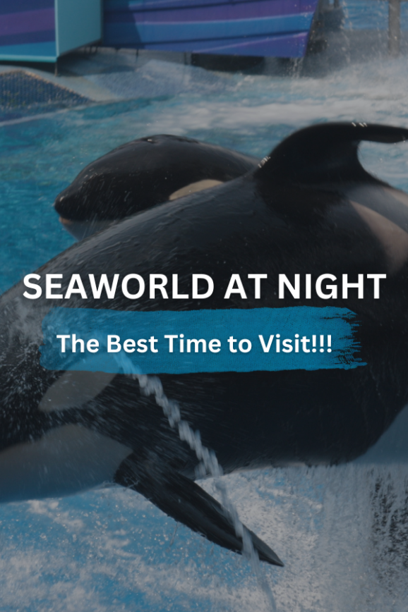 SeaWorld at Night