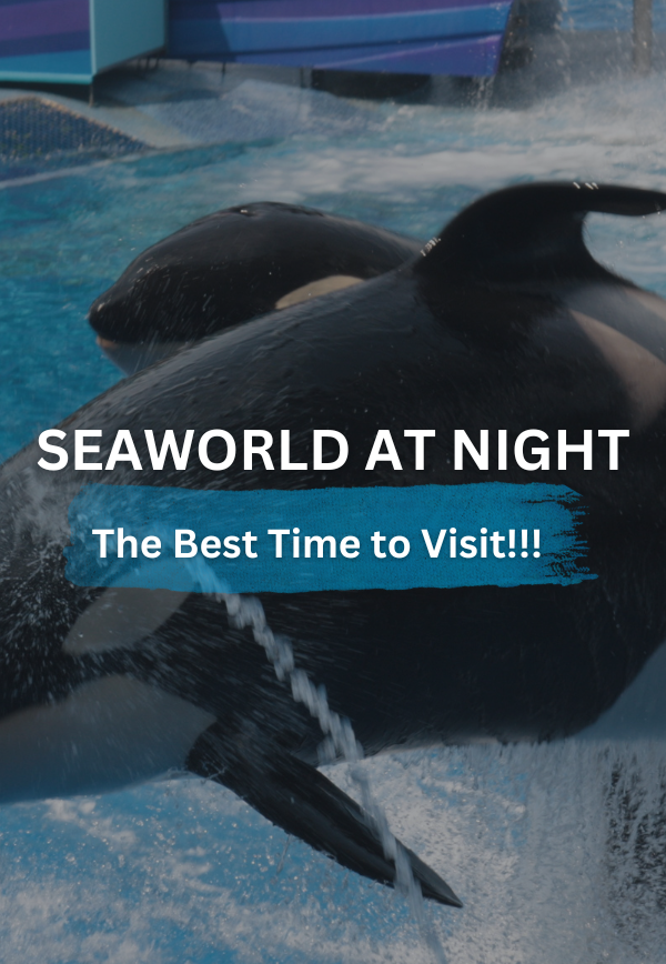 SeaWorld at Night